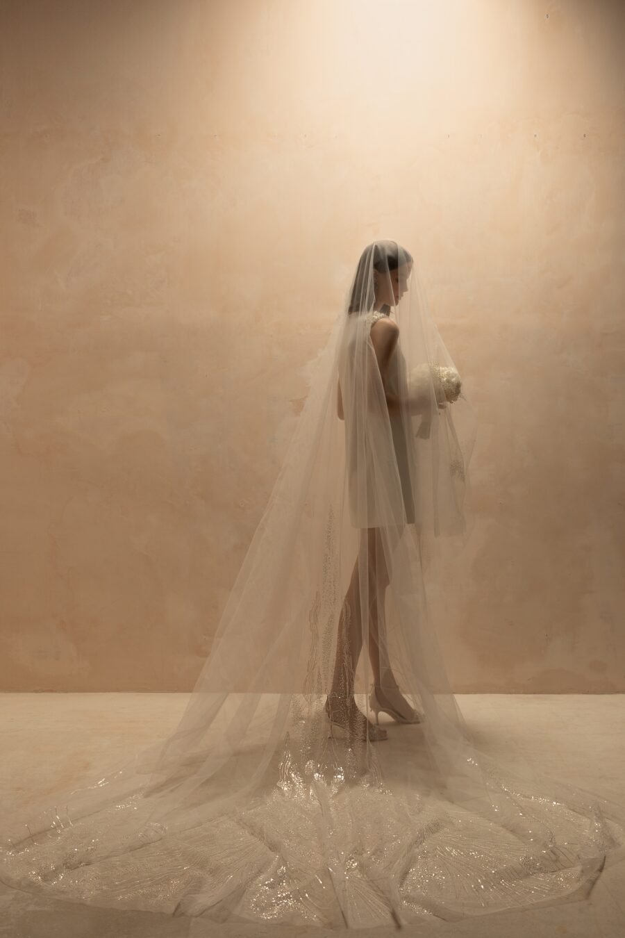 Veils 2022 nv2221