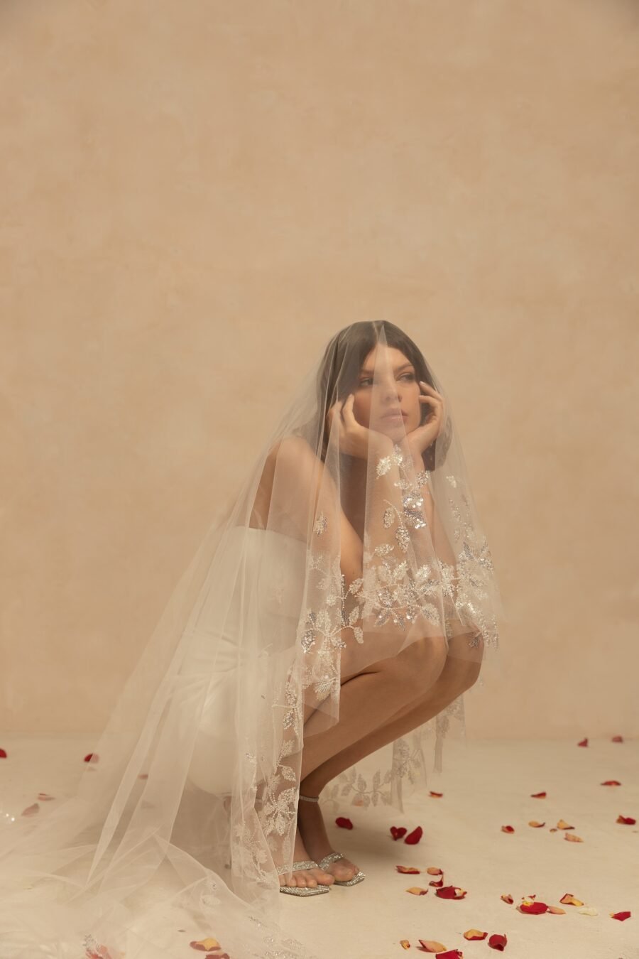 Veils 2022 nv2223 1