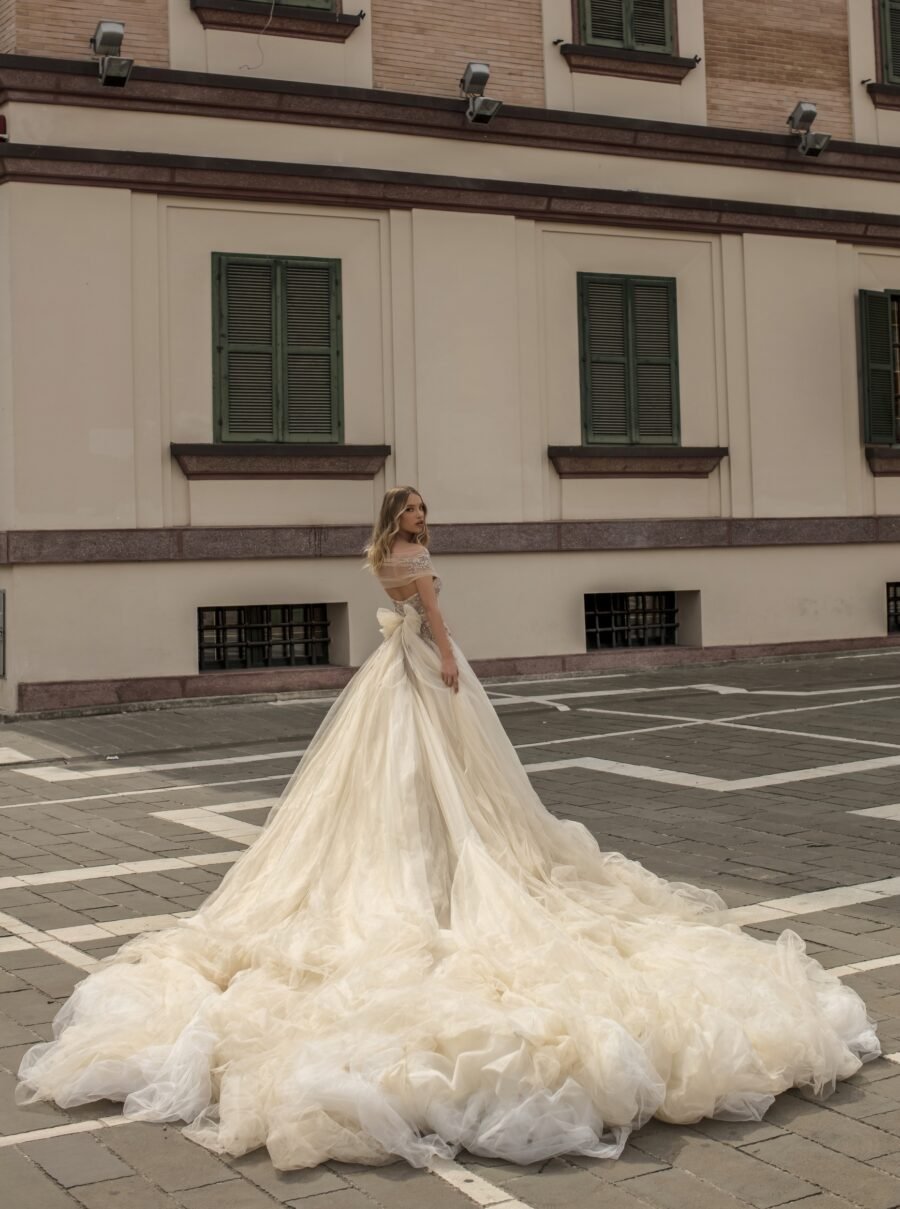 Wona wedding aurora celebrate 1